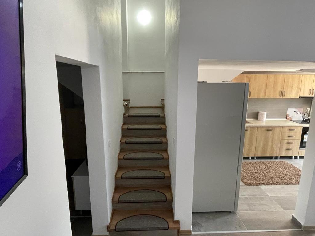 Apartment Stefi Sighisoara